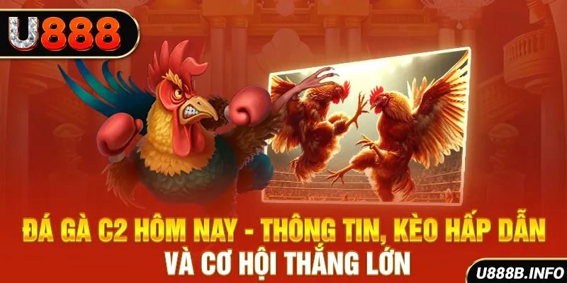 Đá Gà C2 Hôm Nay - Thông Tin, Kèo Hấp Dẫn Và Cơ Hội Thắng Lớn