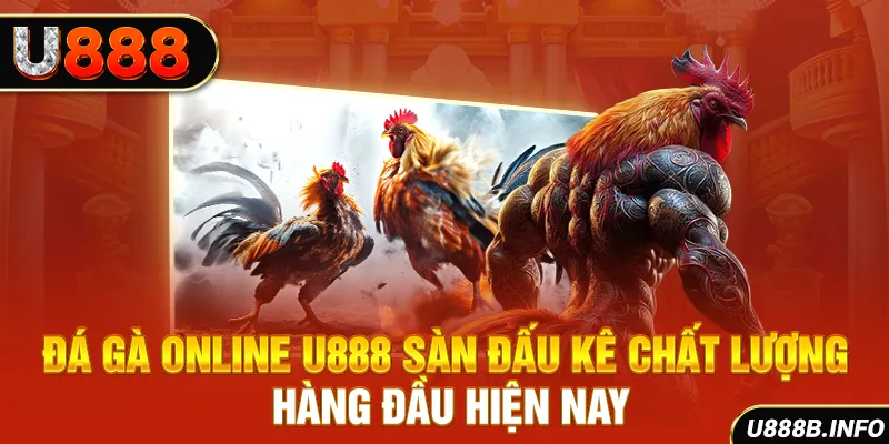 Đá Gà Online U888 - Sàn Đấu Kê Chất Lượng Hàng Đầu Hiện Nay