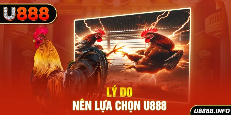 Lý do nên lựa chọn U888