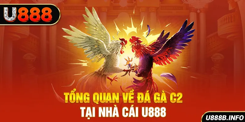 Tổng quan về đá gà C2 tại nhà cái U888